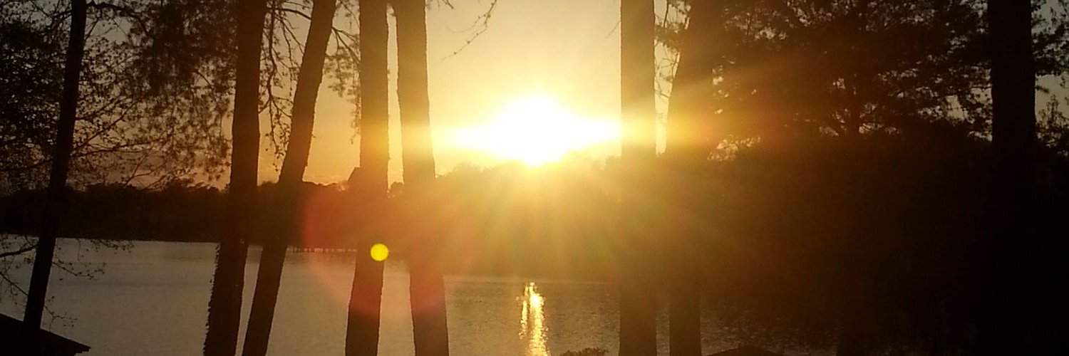 AmyPastewart2's profile banner image