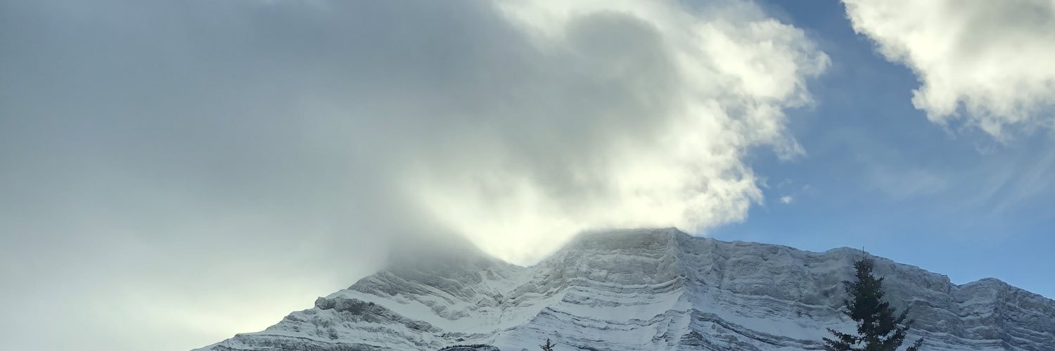 PollyBras's profile banner image