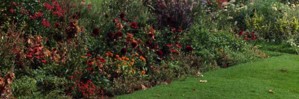 evacallejonv__'s profile banner image