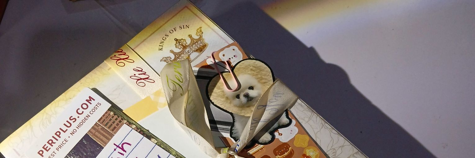 amnlei's profile banner image