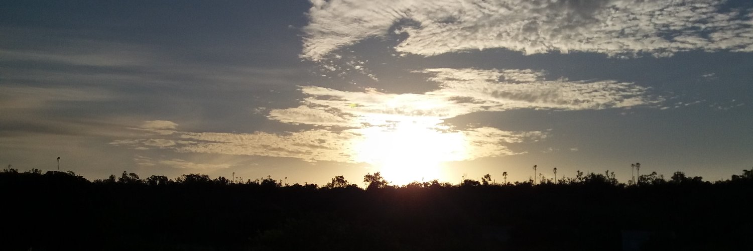 thaliagoldberg's profile banner image