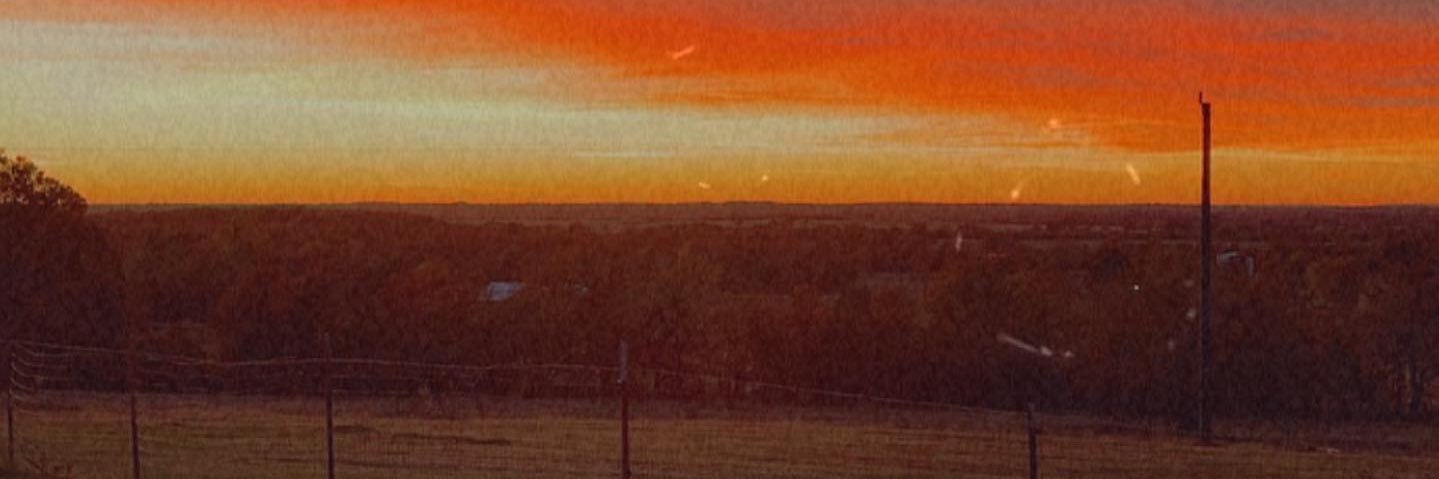 Zef_Loyal's profile banner image