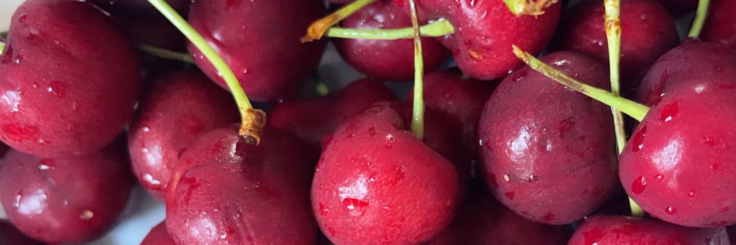 ✨PRADA MAMA✨ banner