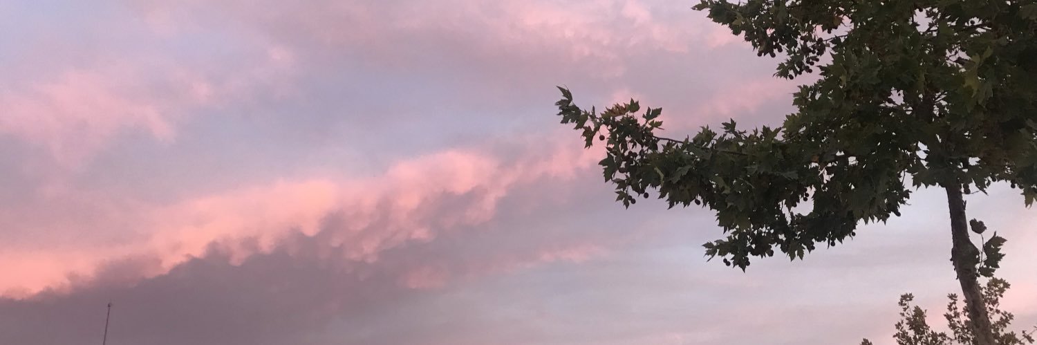 MartaDazRoman's profile banner image