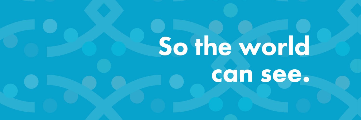 Lions World Vision Institute banner