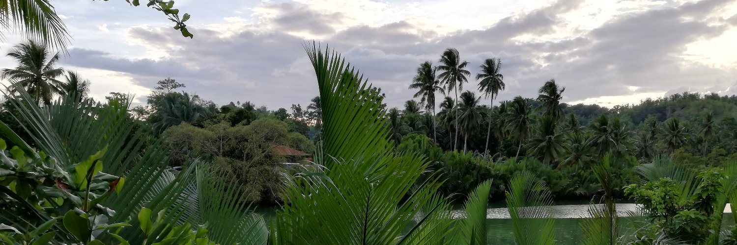 Dr Angela Devine banner