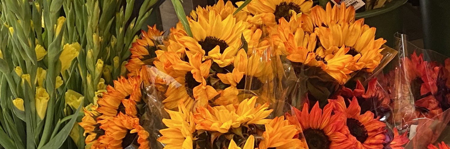 slsrucker's profile banner image