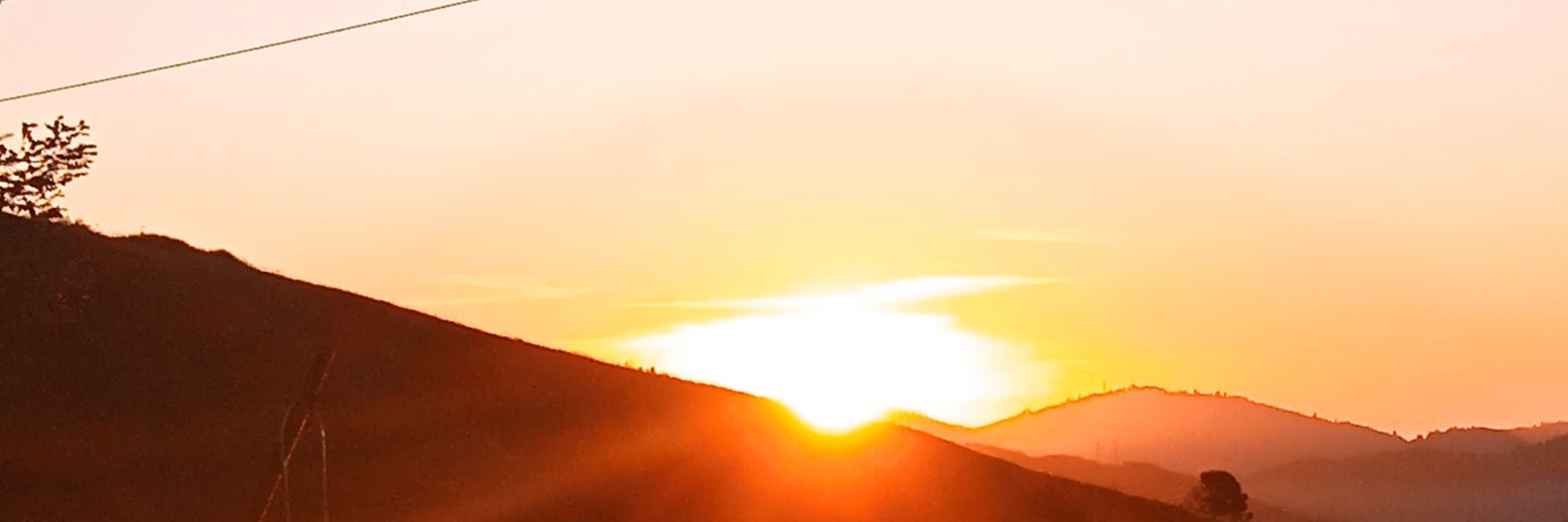 lupemagdalena's profile banner image