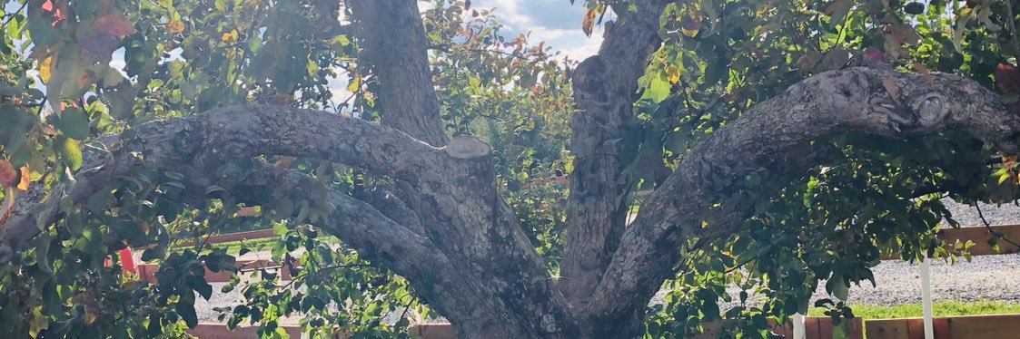 Stephen Brown banner