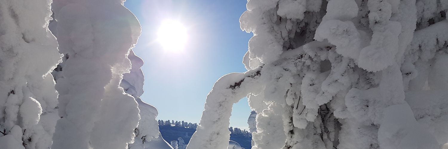 suvijv's profile banner image
