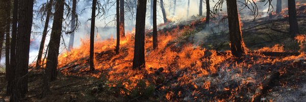 firebobbc Profile Banner