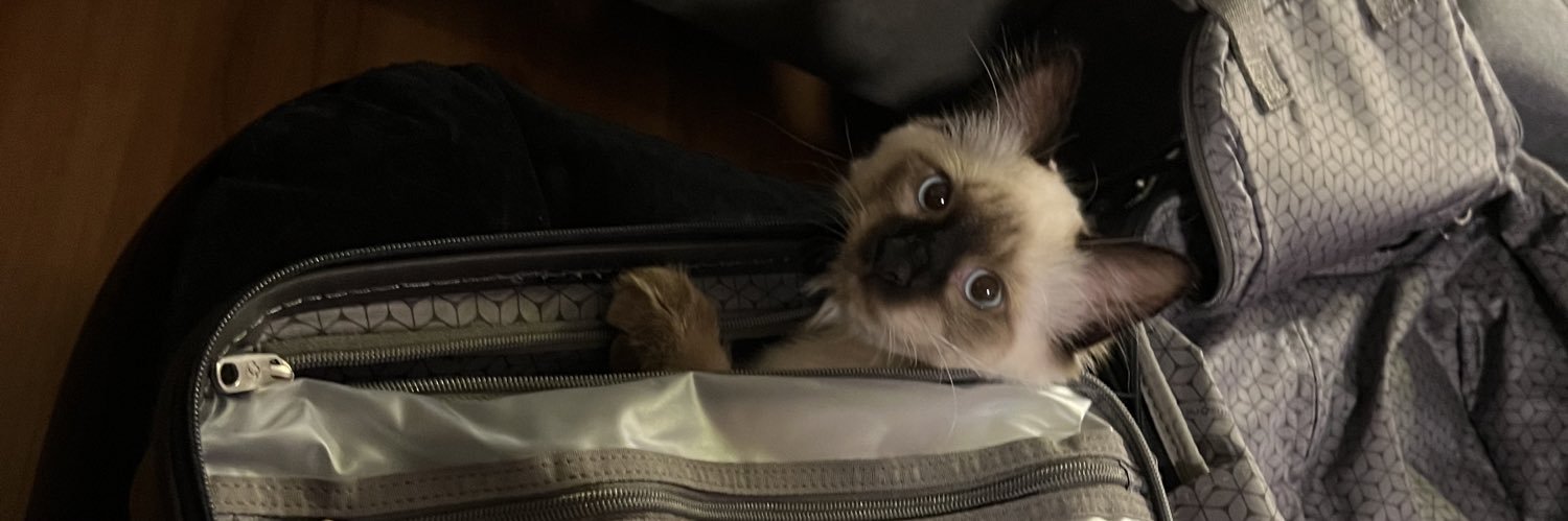 jaredonovan's profile banner image