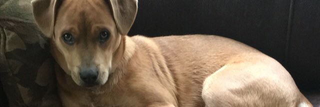 april_turner_'s profile banner image