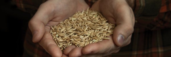 GrainMillers Profile Banner