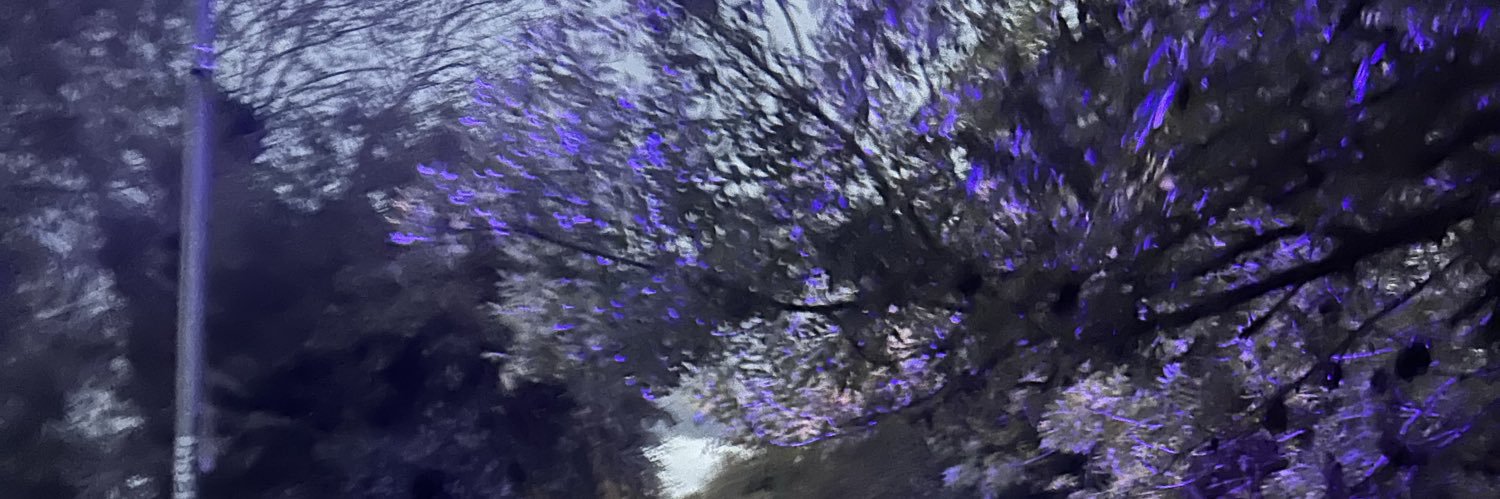 _bafi's profile banner image