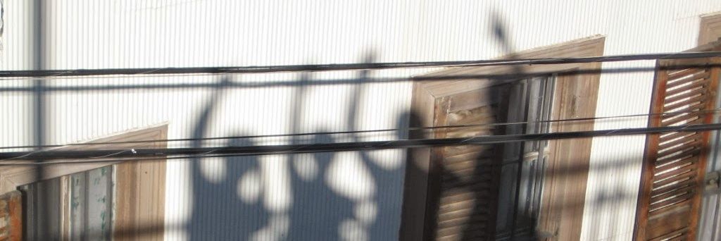 jaiminoe's profile banner image