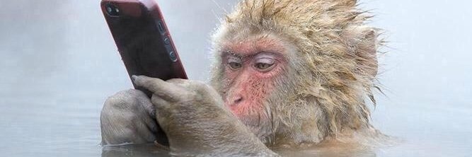 Rofflius Copterus banner