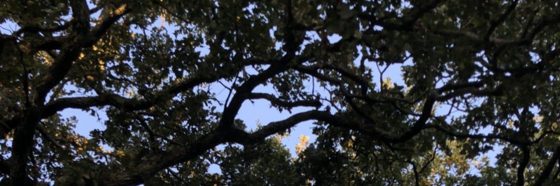HunterAmberg's profile banner image