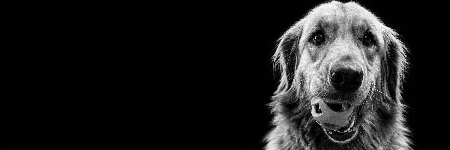 Pablo_rod's profile banner image