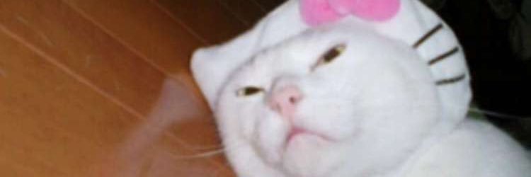 Da_Cartographer's profile banner image