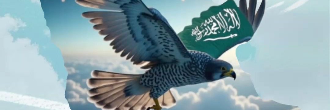 hamdan_binha's profile banner image