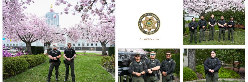 MCSOInTheKnow's profile banner image