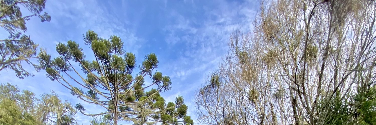 febaruffi_'s profile banner image