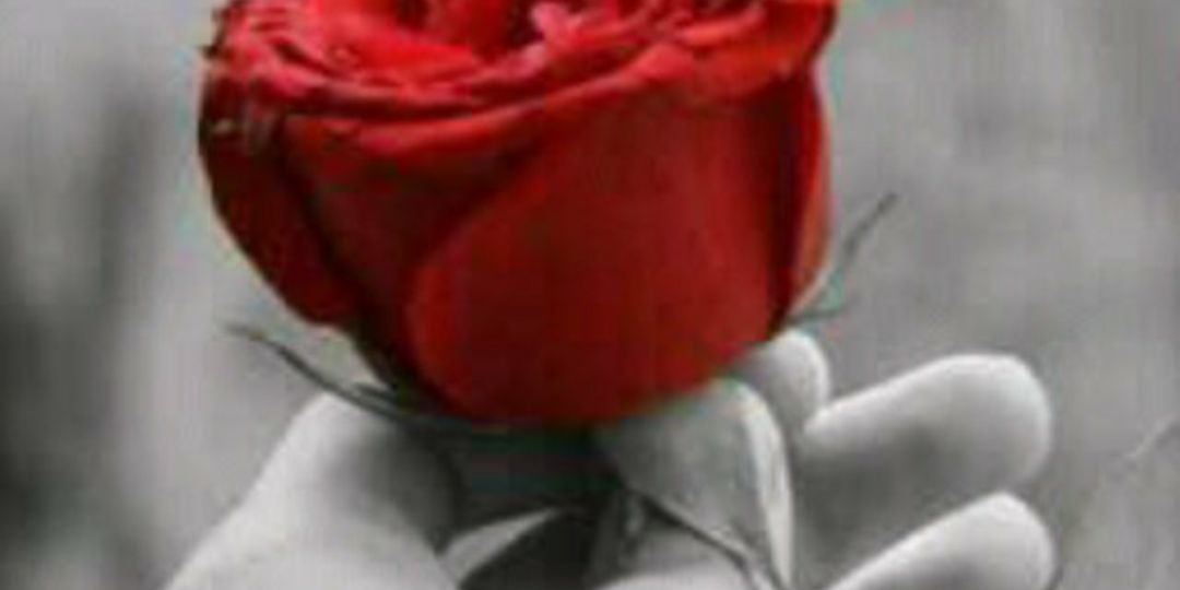 MMmtt077's profile banner image