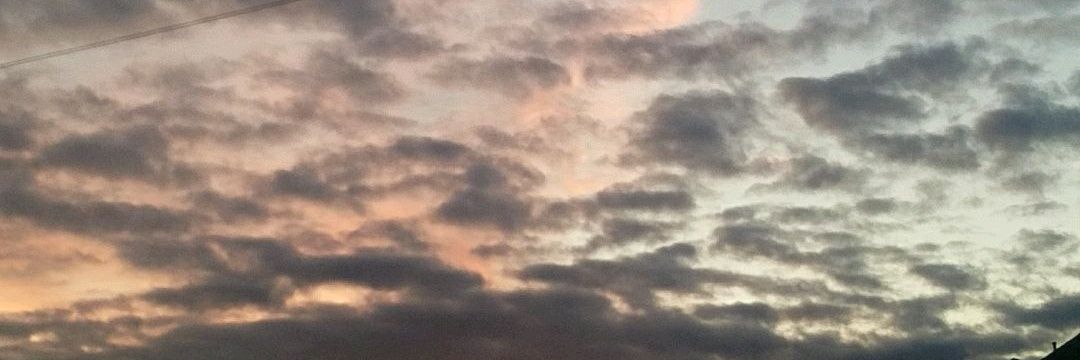 Darrian_09's profile banner image