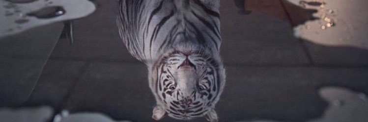 _Triiilogy_'s profile banner image