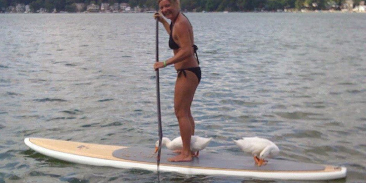 SUP101Lakes's profile banner image