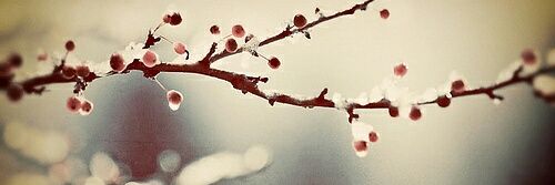 FatimahReda's profile banner image
