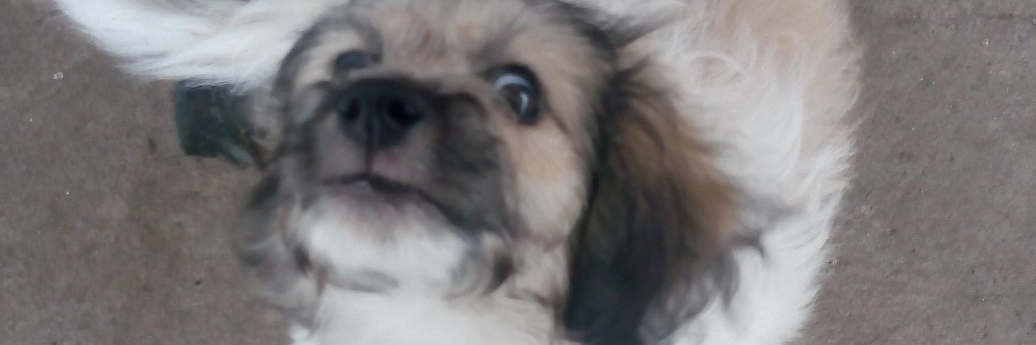 Guadxss's profile banner image