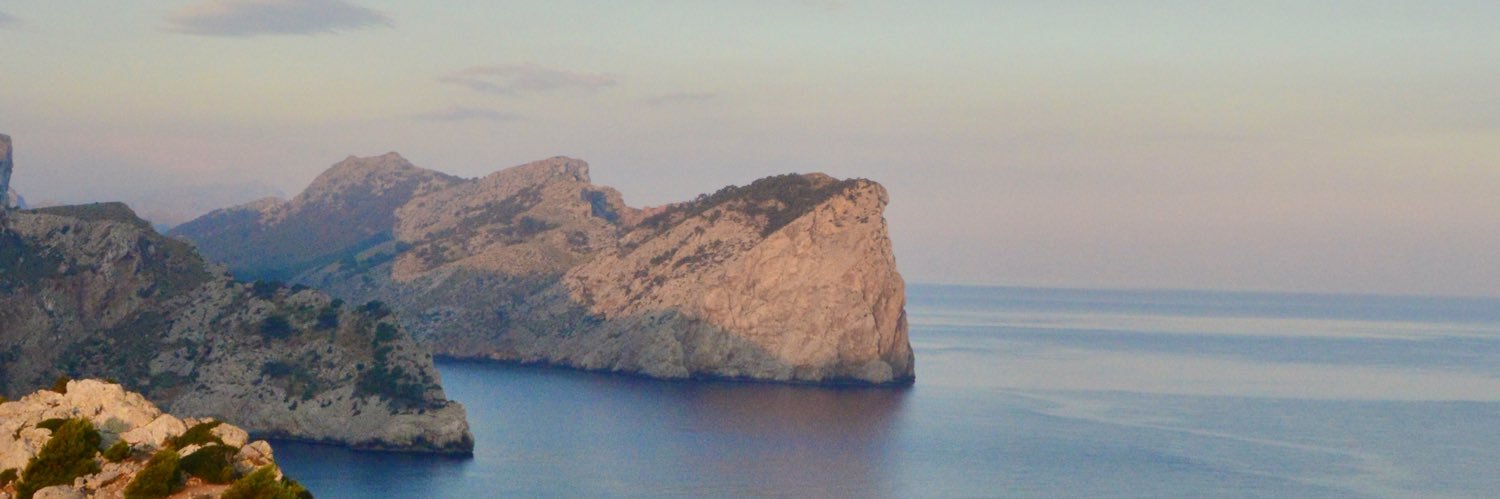sofiacostab's profile banner image