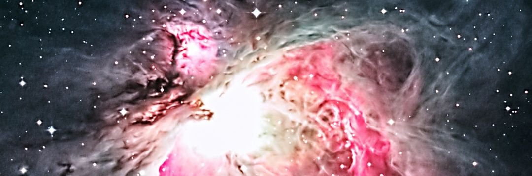 もんちくん🐰 banner