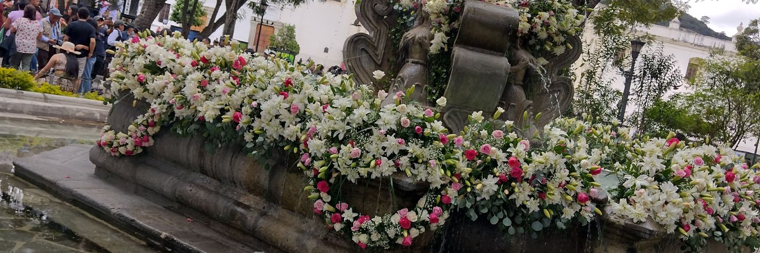 marlendmg's profile banner image