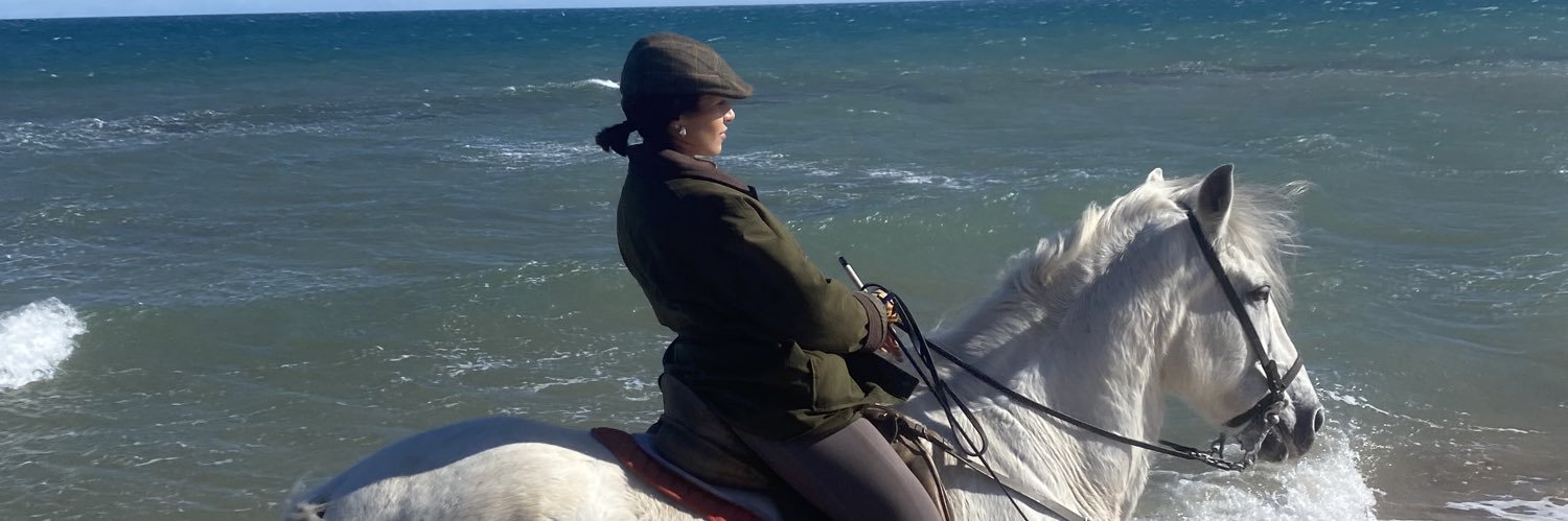 juditpardo's profile banner image