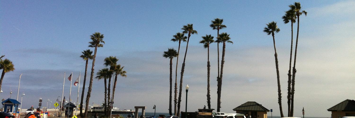 Clemens Sietas banner