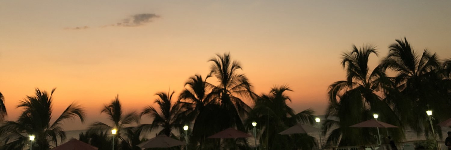 proud_ringarde's profile banner image