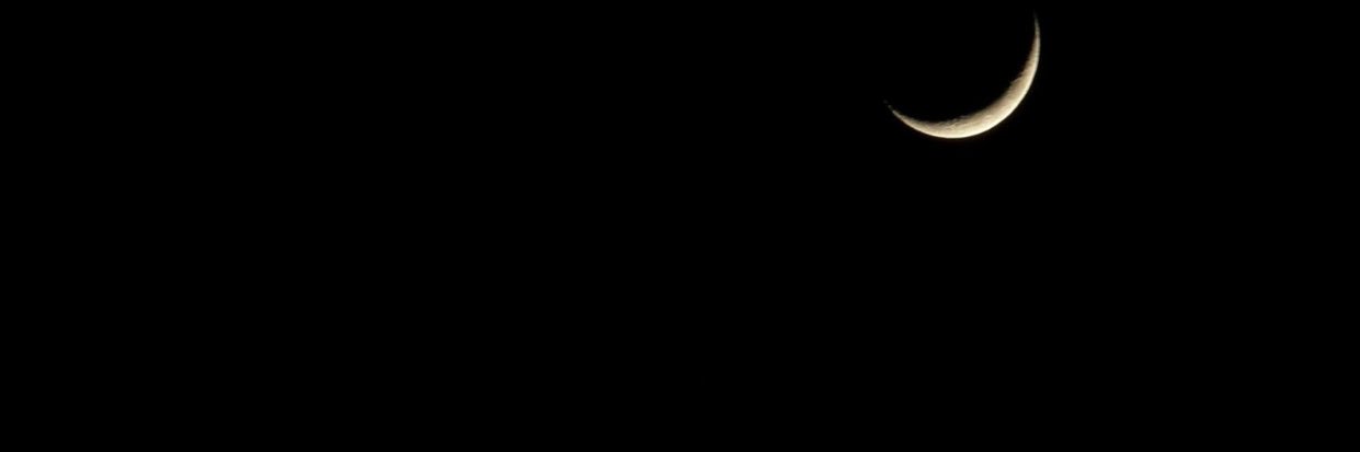 YaBoyStanny's profile banner image