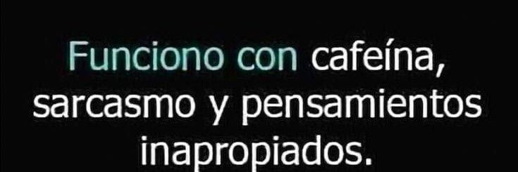 Bob el profesor banner