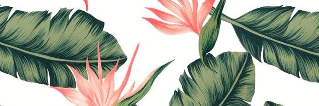 ChelseaCox4696's profile banner image