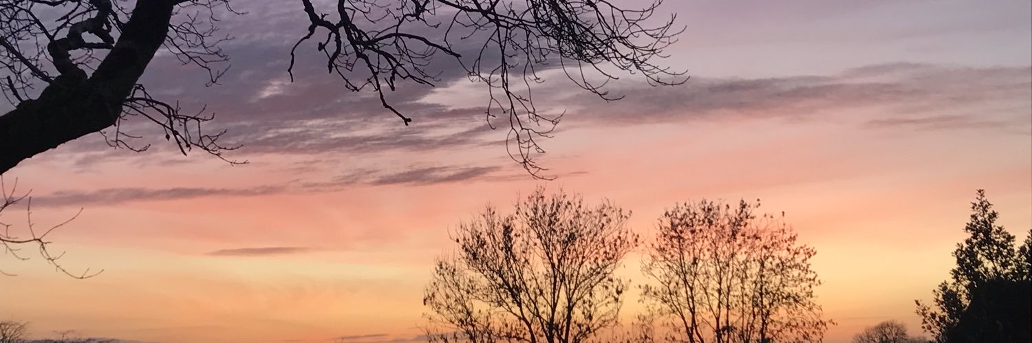 Claclee's profile banner image