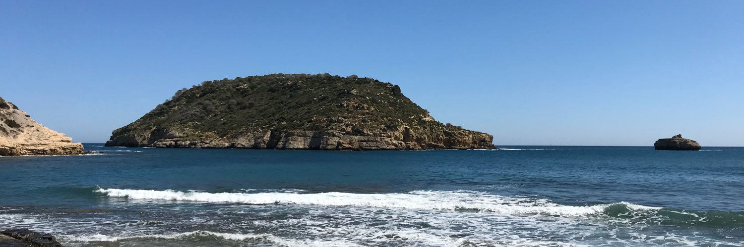 Manuel Pérez-Alonso, PhD 🇺🇦 banner