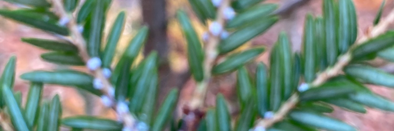 bioscapecom's profile banner image