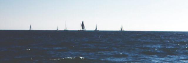 MadiShea13's profile banner image