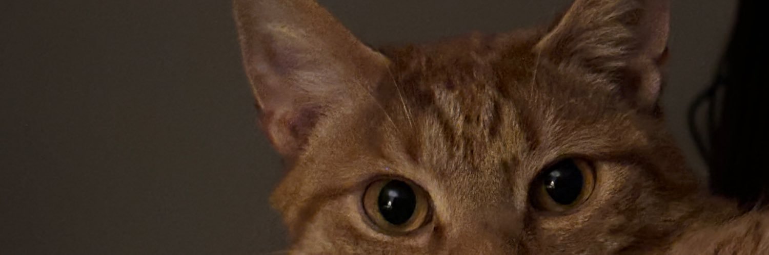 _nikkitaylor's profile banner image
