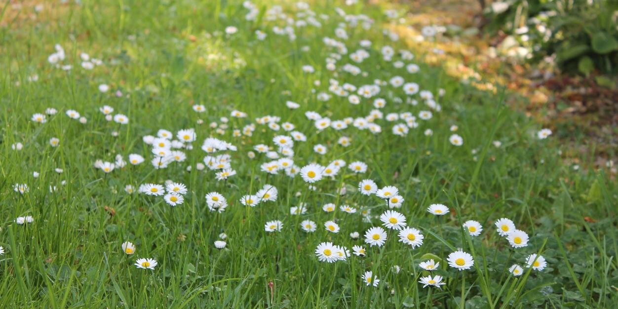 CreactivitCom's profile banner image