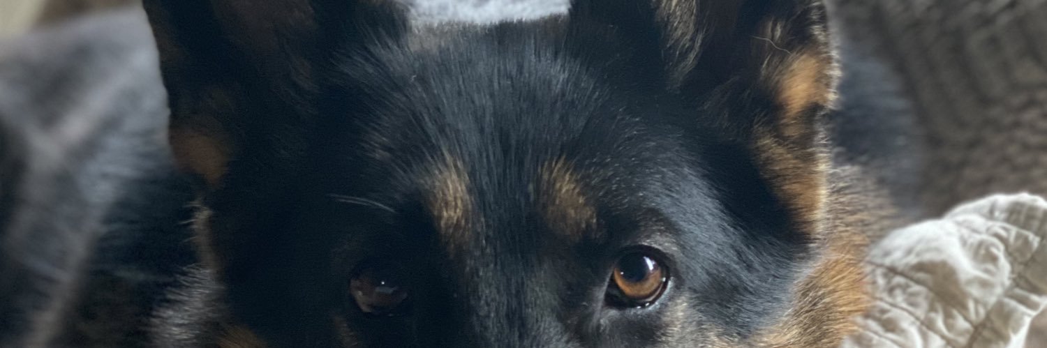 DavyHarding's profile banner image