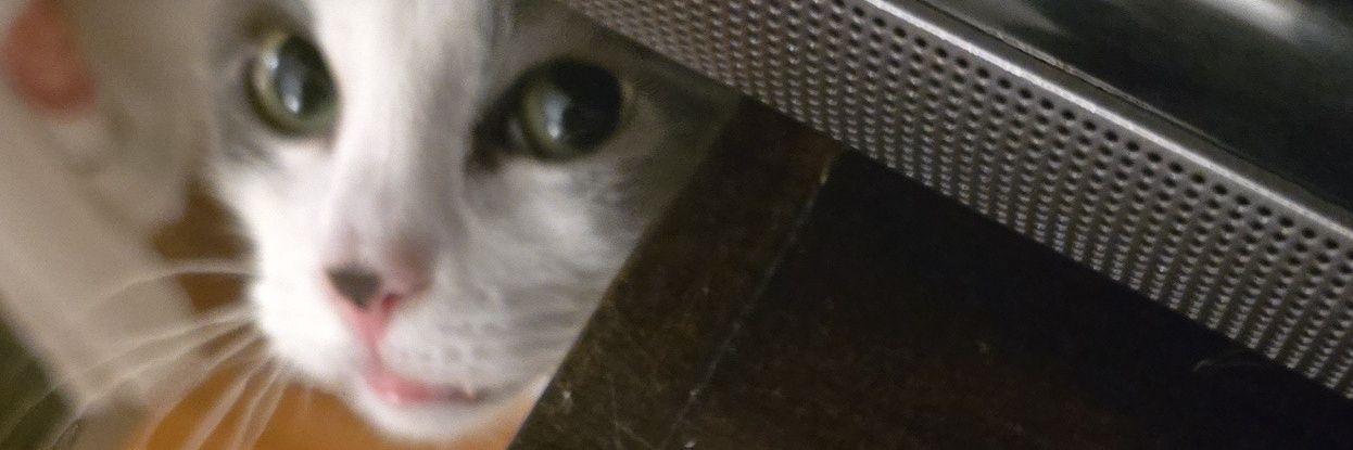 Clinth 🔻🇵🇸🇱🇧 banner